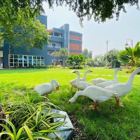 Krishna Riverside Resort Vāsad Exterior foto
